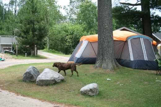 Talon_Lake_Tent.jpg